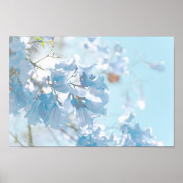 Pastel Soft Blue Jacaranda Tree Flowers Blossom Poster