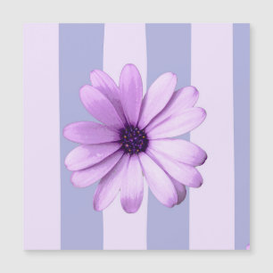 Pastel strepenpatroon met madeliefjes