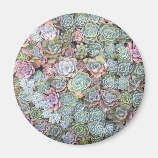 Pastel Succulent Garden Magnet Magneet (Voorkant)