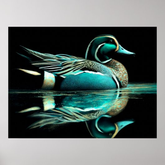 Pastel Tekening Blauwgroen Eend op Water Poster (Voorkant)