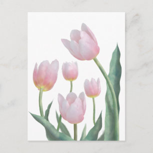 Pastel Tulp Bloemendesign Briefkaart