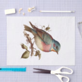  Pastel Vogelkunst voor Decoupage Tissuepapier (Craft)