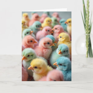 Pastel Vogels Lente Kaart