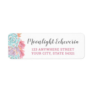 Pastel Watercolor Echeveria Cactus Retouradres Etiket