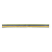 Pastelregenboog, zwarte en witte strepen lint (Voorkant)