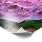 Pastelroze Hortensia hydrangea bloemen Foto Afdruk (Hoek)