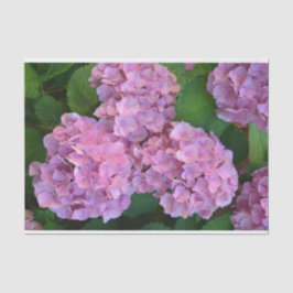 Pastelroze Hortensia hydrangea bloemen Tissuepapier