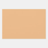  Pastels Thanksgiving Wrapping Paper Sheets (Voorkant 2)