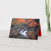 Pastor Waardering Leiderschap Schrift Herfst Bedankkaart (Voorkant)