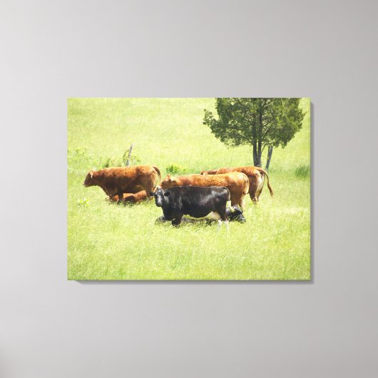 Pastoraal Canvas Afdruk (Voorkant)