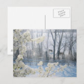 Pastorale Natuur in de winter Briefkaart (Voorkant / Achterkant)