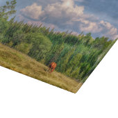 Pastorale scène met Grazende paarden op een BC Ran Snijplank (Hoek)