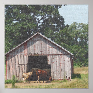 Pasture 3 poster