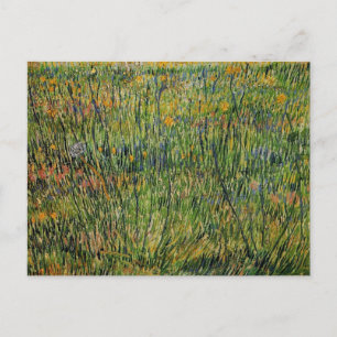 Pasture in Bloom door Vincent van Gogh Briefkaart
