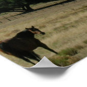 Pasture Perfect Poster (Hoek)