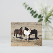 Pasture Trio Briefkaart (Staand voorkant)