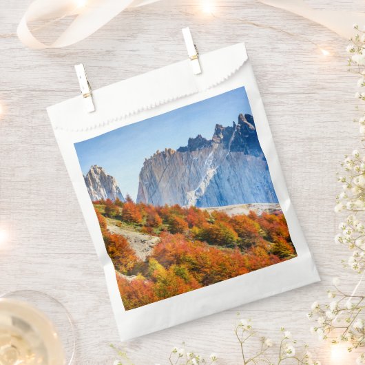 Patagonia Bedankzakje (Geknipt)