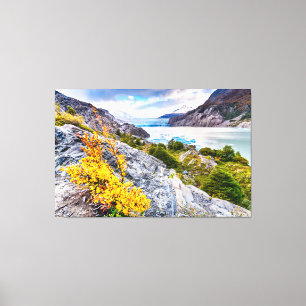 Patagonia Canvas Afdruk