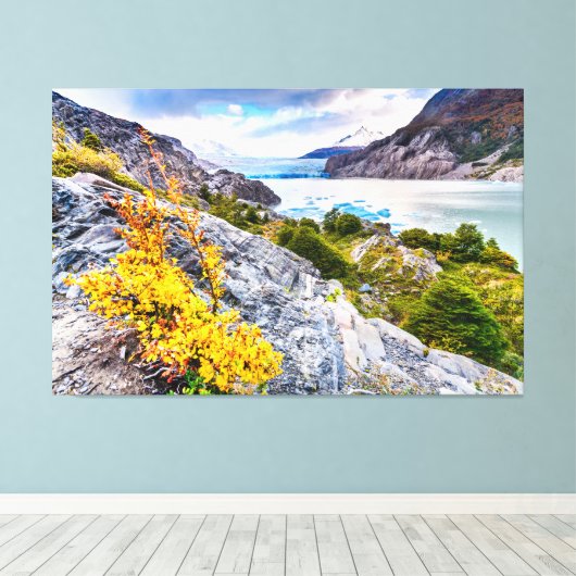 Patagonia Canvas Afdruk (Insitu (Houten vloer))