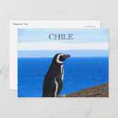 Patagonia Chili Briefkaart (Voorkant / Achterkant)