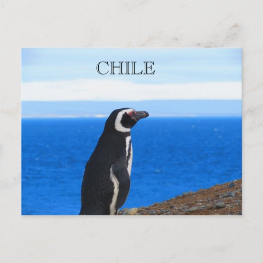 Patagonia Chili Briefkaart (Voorkant)