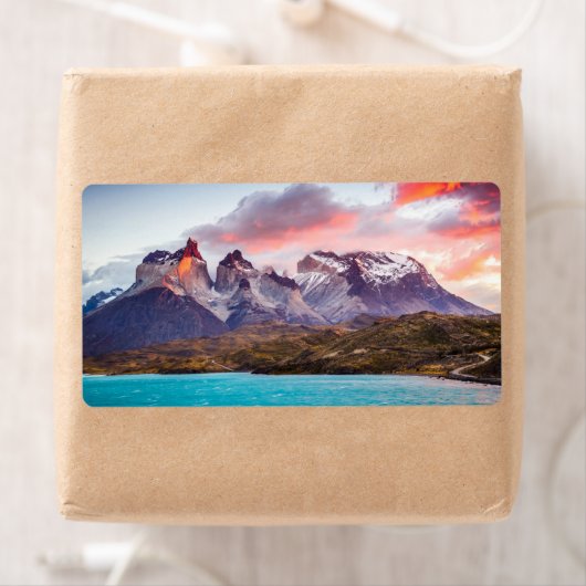 Patagonia Etiket (Insitu)