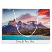 Patagonia Groot Cadeauzakje (Achterkant)