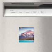 Patagonia Magneet (Insitu (Vaatwasser))