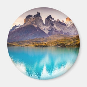 Patagonia Magneet
