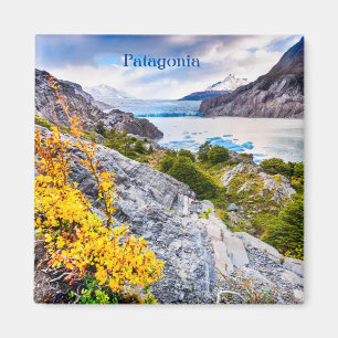 Patagonia Magneet