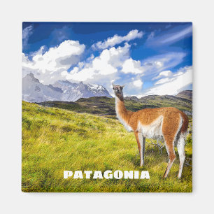 Patagonia Magnet Magneet