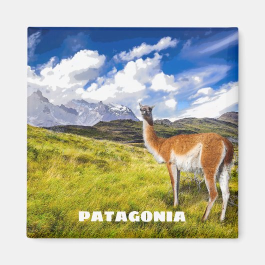 Patagonia Magnet Magneet (Voorkant)