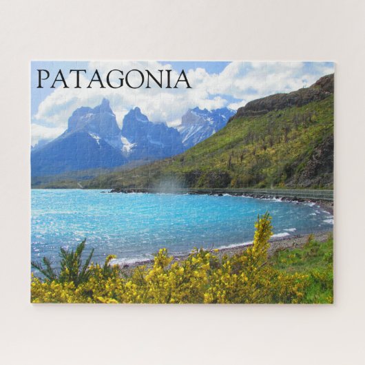 patagonia-meerpillen legpuzzel (Horizontaal)