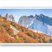 Patagonia Sticker (Voorkant)