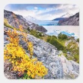 Patagonia Vierkante Sticker (Voorkant)