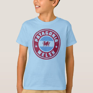 Patagonia Welsh Flag T-shirt