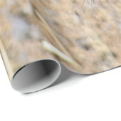 PATAGONIAN MARA CADEAUPAPIER (Rol Hoek)