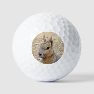PATAGONIAN MARA GOLFBALLEN