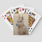 PATAGONIAN MARA POKERKAARTEN (Achterkant)