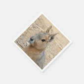 PATAGONIAN MARA SERVET (Hoek)