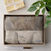 PATAGONIAN MARA TISSUEPAPIER (Geschenk)