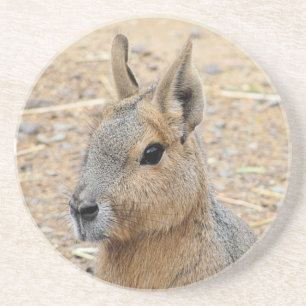 PATAGONIAN MARA ZANDSTEEN ONDERZETTER
