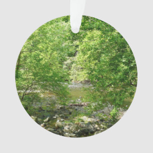 Patapsco River View Maryland Nature Photographie
