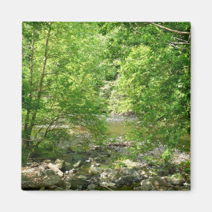 Patapsco River View Maryland Natuurfotografie Magneet