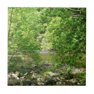 Patapsco River View Maryland Natuurfotografie Tegeltje
