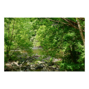 Patapsco Rivier View Maryland Natuurfotografie Perfect Poster