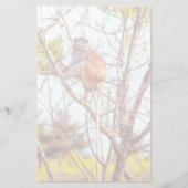 Patas is omhoog een structuur briefpapier (Voorkant)