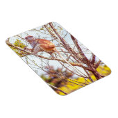 Patas is omhoog een structuur magneet (Rechterzijde)