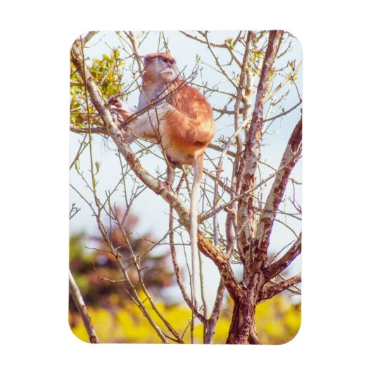 Patas is omhoog een structuur magneet (Verticaal)