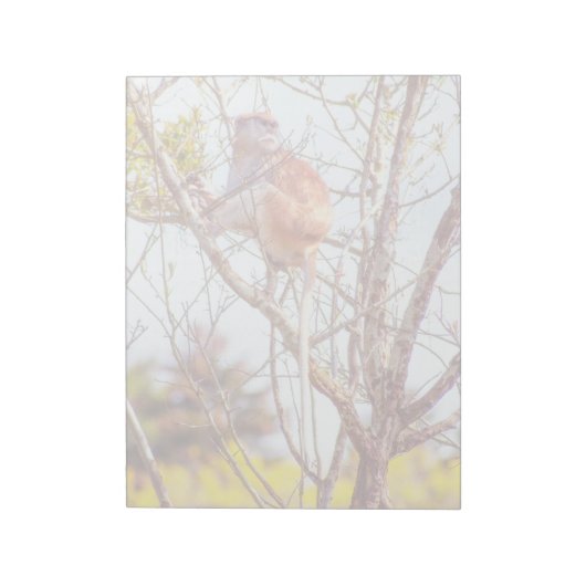 Patas is omhoog een structuur notitieblok (Gedraaid)